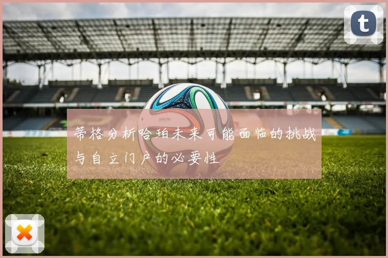 蒂格分析哈珀未来可能面临的挑战与自立门户的必要性
